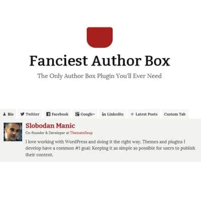 Fanciest Author Box - Imagen 1