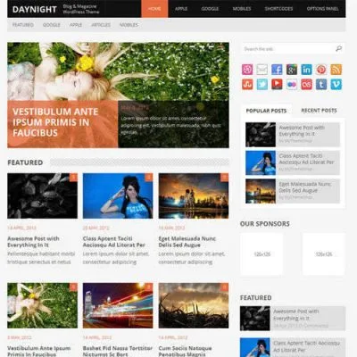 MyThemeShop Daynight WordPress Theme - Imagen 1