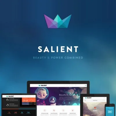 Salient – Responsive Multi-Purpose Theme - Imagen 1