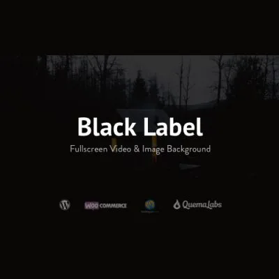 Black Label – Fullscreen Video & Image Background