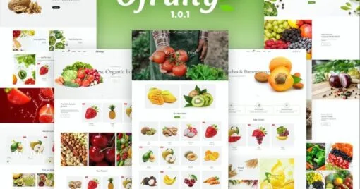 Ofruity – Organic Food/Fruit/Vegetables eCommerce Shopify Theme - Imagen 1
